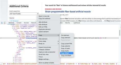 XPath Python Selenium 的图像结果