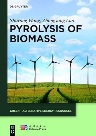 Pyrolysis of Biomass: 1 (Green - Alternative Energy Resources) : Wang ...