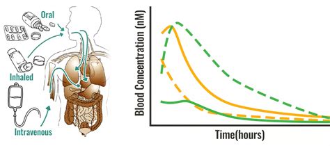 Image result for Bioequivalence Graphical Abstracts