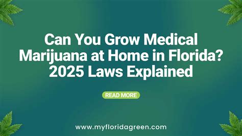 Growing Marijuana at Home in Florida: 2025 Legal Update