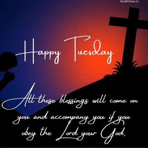 Blessed Tuesday : Happy Tuesday Good Morning Quotes