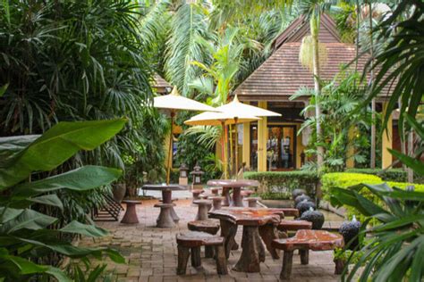 Oasis Spa, Chiang Mai - TimesTravel