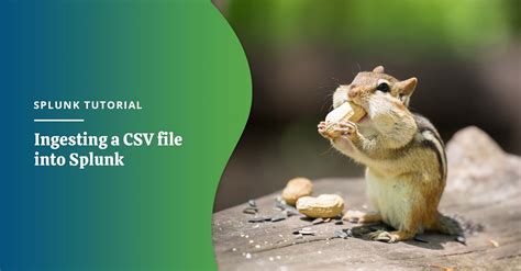 Image result for Splunk Dashboard Creation Using CSV File