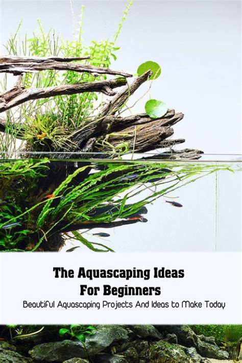 Buy The Aquascaping Ideas For Beginners: Beautiful Aquascaping Projects ...