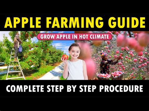 Image result for Minecraft Apple Farm Tutorial