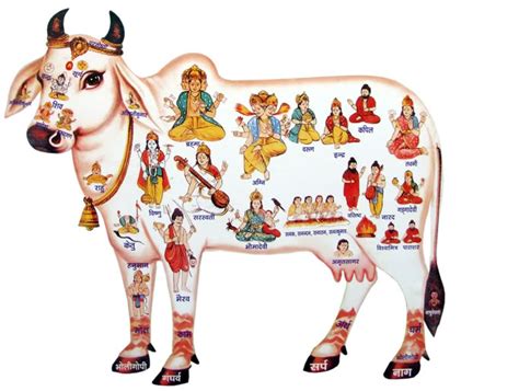 Shri Krishna Gaushala of Shree Jagjivan Bapu Sevashram