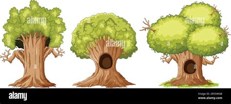 Image result for Simetric Tree Cartoon