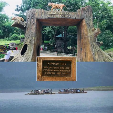 Post-Conference Tour | ICPCG CONFERENCE INDIA 2026