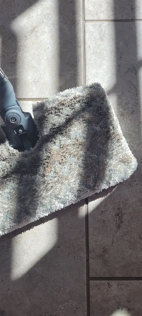 when you see it : r/AnimalShaming