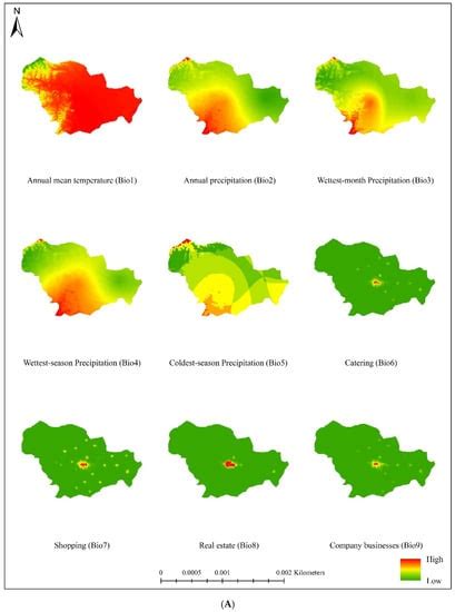 Evaluating the Disaster Risk of the COVID-19 Pandemic Using an ...