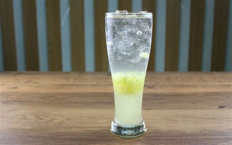柠檬气泡水怎么做_柠檬气泡水的做法_豆果美食
