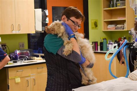 Shelter Dogs of Portland: "DADE" and "PHILLIP" from Neglected/Abandoned ...