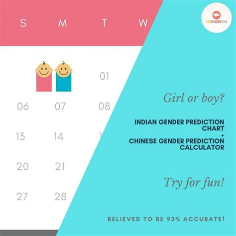 Bot Verification