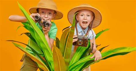 Image result for Geography Fieldwork