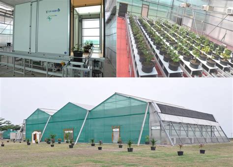 Phenomics facility | ICAR-National Institute of Abiotic Stress Management