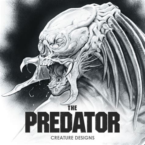 Predator Design 的图像结果