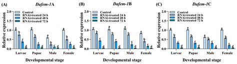 Fem-1 Gene of Chinese White Pine Beetle (Dendroctonus armandi ...