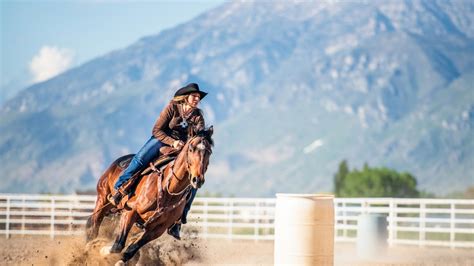 Home [horseauctionsusa.com]