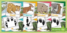 Animal Footprint Matching Game | Teacher-Made Resources