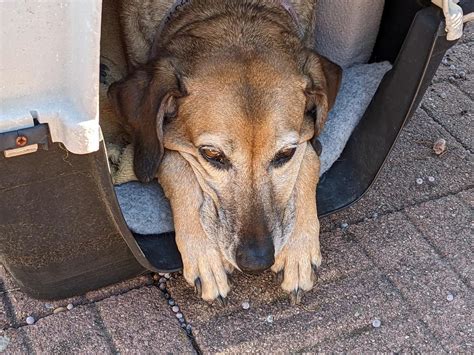 Trezor Tutorial 的图像结果