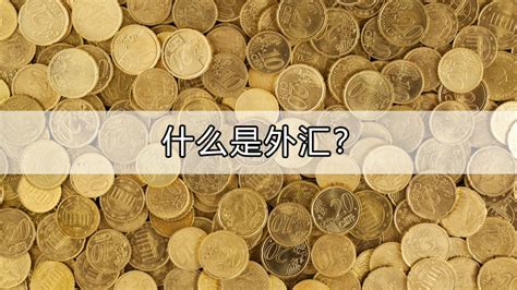 国家外汇局：2016年我国对外金融资产 负债及净资产均呈现增长_外汇_金色财经