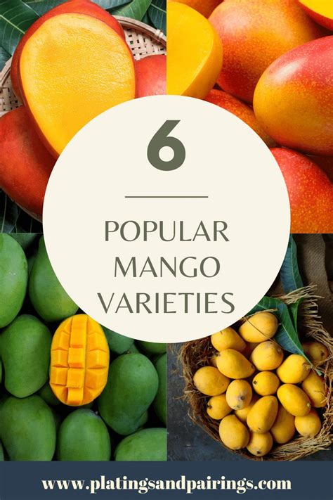 Image result for Mango Types Mango Varieties