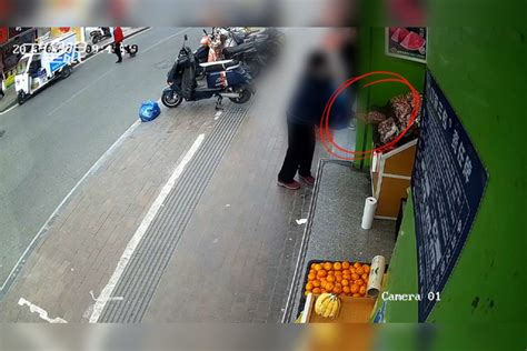 【安徽】老人偷水果隔壁店提醒店员当场追回
