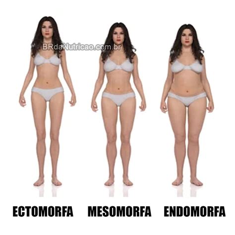 Biotipo Mesomorfo Significado: Treino + Dieta — BR da Nutrição ...