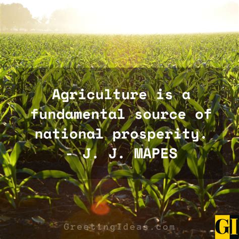 Farming Quotes Agriculture 的图像结果