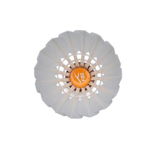 Hundred F80 Feather Shuttlecock – Hundred India