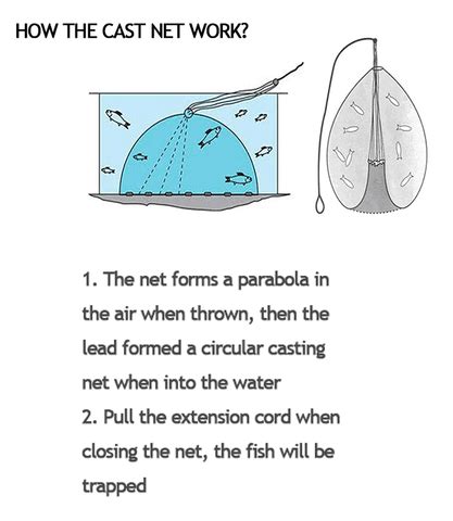 Fish Net Tutorial 的图像结果