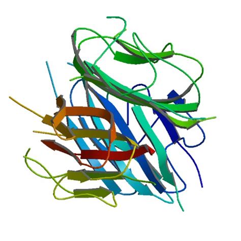 AdipoRon Ameliorates Alzheimer’s: clues from diabetes research ...