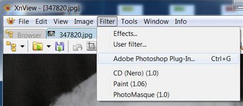 Image result for XnView Acquire into Screen
