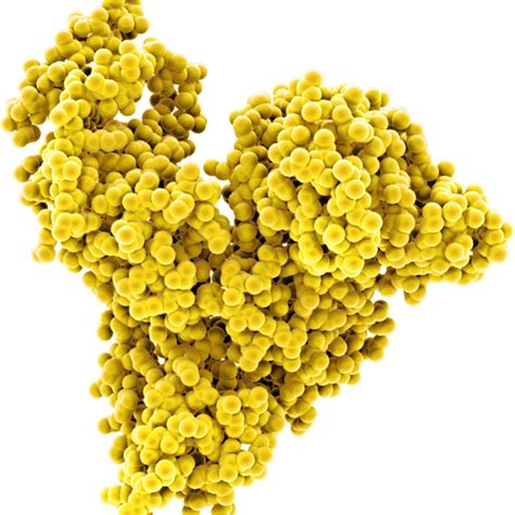 Innovation & Compliance Services | Sartorius