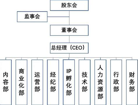 2020抖音mcn文化传媒公司组织架构部门分工职能_文档之家