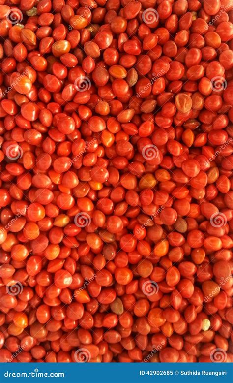 小的红色种子 库存图片. 图片 包括有 种子, 增长, 工厂, 谷物, 红色, 模式, 棚车, 少许, 纹理 - 42902685