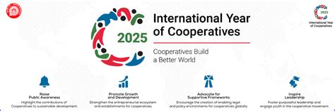 The International Year of Cooperatives 2025 (IYC 2025)