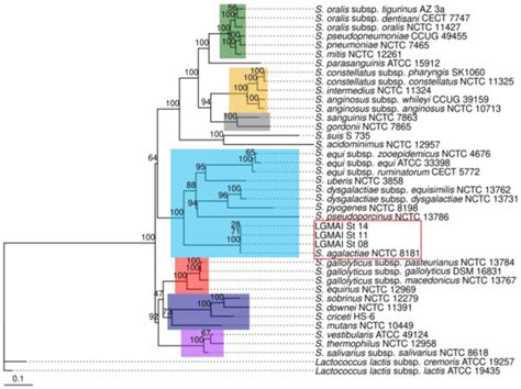Bacteriocin Producing Streptococcus agalactiae Strains Isolated from ...