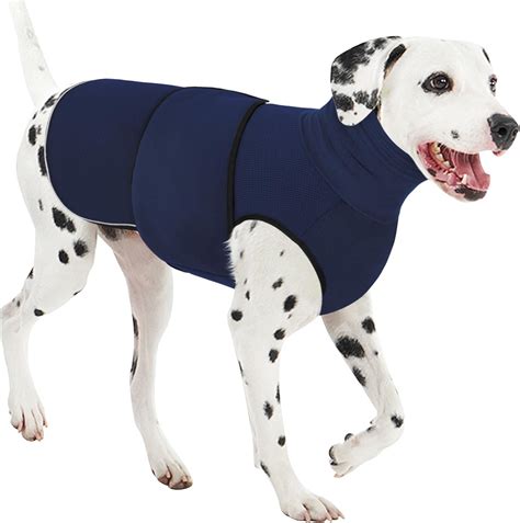 Amazon.com : AOFITEE Dog Anxiety Vest, Thunder Jacket for Dogs Anxiety ...