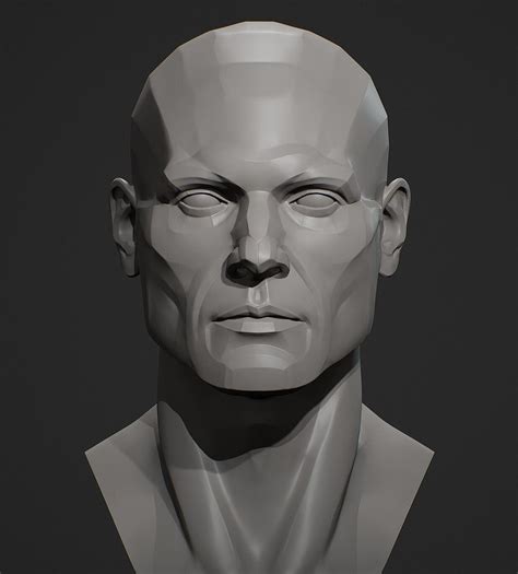 ArtStation - Head Planes Male, Viktor Germogenov | Anatomy art, Human ...