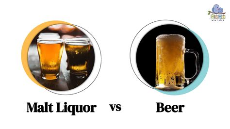 Malt Liquor vs. Beer: 4 Key Differences Including Taste & ABV