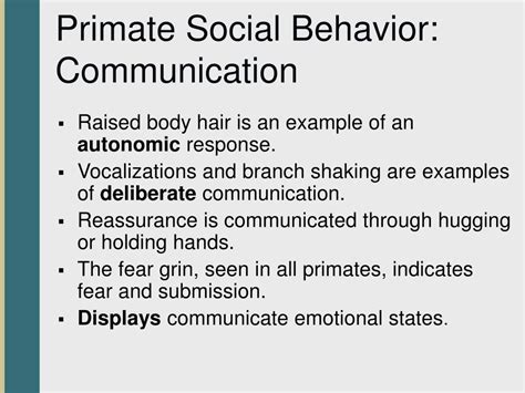 Primate Behavior 的图像结果