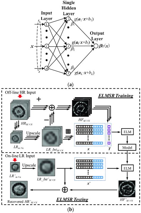 Electronic Learning Machine 的图像结果