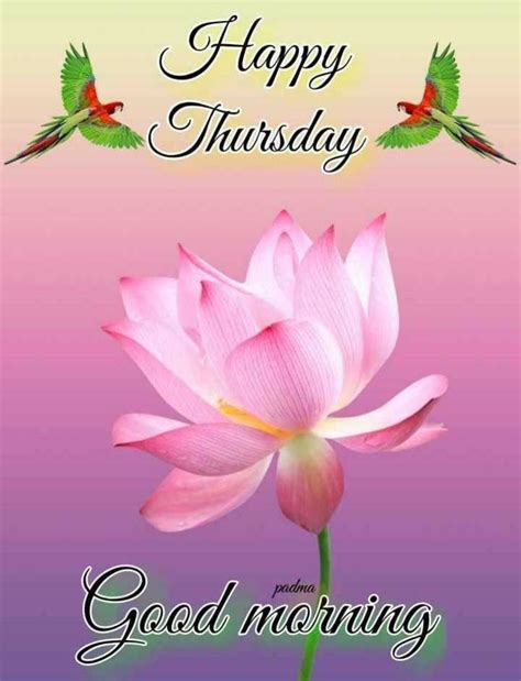 Images Of Good Morning Happy Thursday