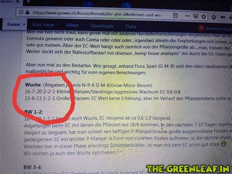 Was bedeuten diese Zahlen? Affenformel... - Grundwissen - The-Greenleaf ...