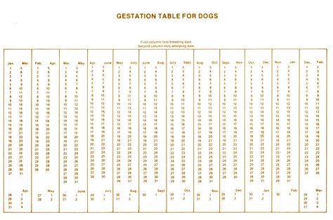 Image result for Memory Magic Computer Chapter Class 1
