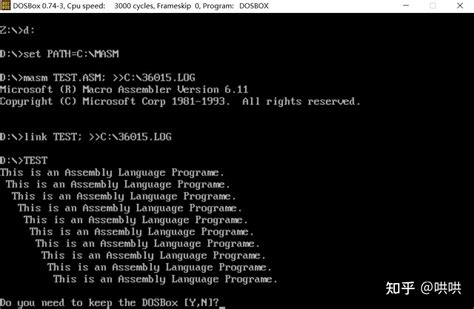 Masm DOSBox 的图像结果