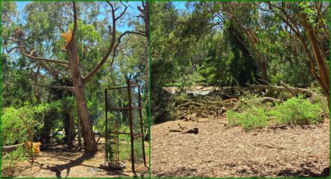 Cleanup on (aisle) 8 Work Party, Disc Golf Course, Golden Gate Park ...