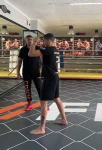 Boxing Defensive Stance 的图像结果