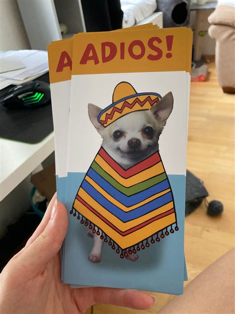 Adios Amigos Dog